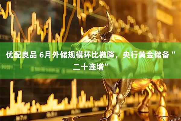 优配良品 6月外储规模环比微降，央行黄金储备“二十连增”